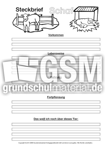 Schaf-Steckbriefvorlage-sw-2.pdf